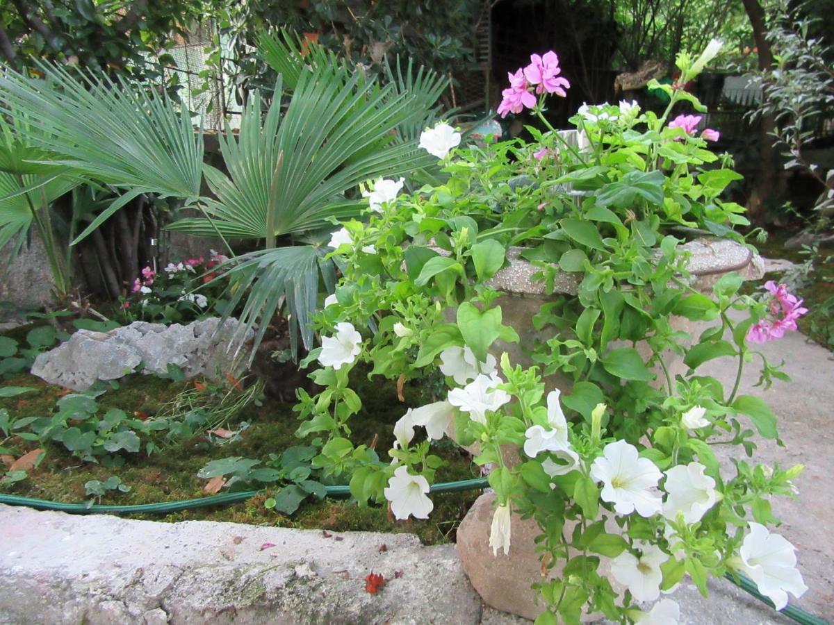 Apartman Julia Apartment Rijeka Luaran gambar